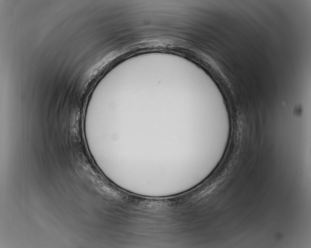 X0000116260778200912291455