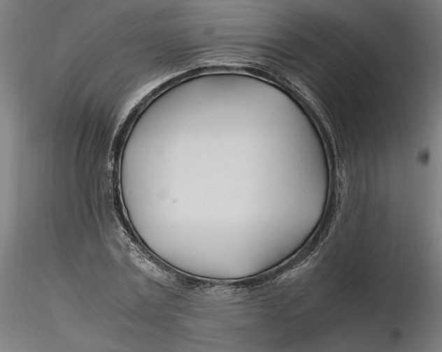 X0000116260779200912291455