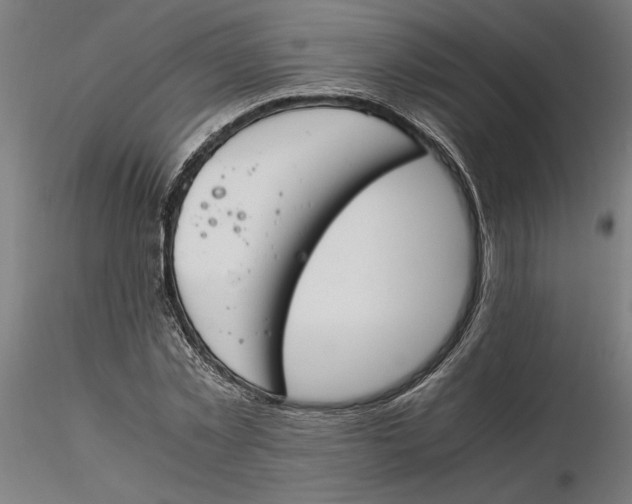 X0000116260781200912291455