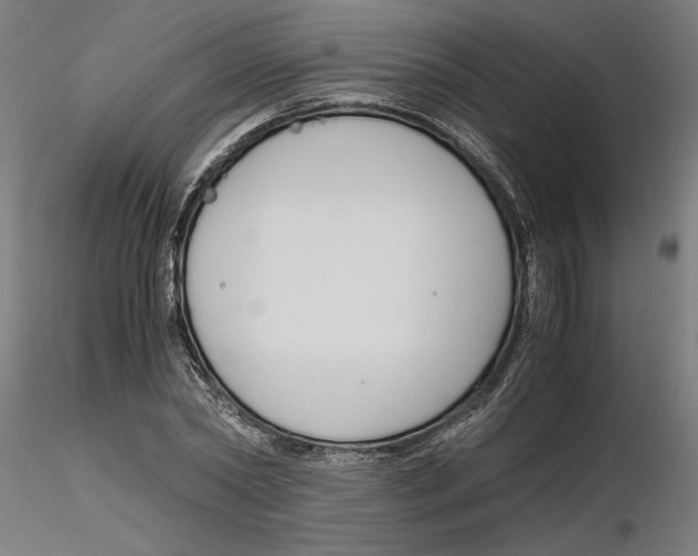X0000116260782200912291455