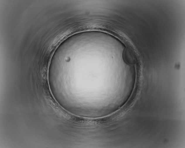 X0000116260785200912291455