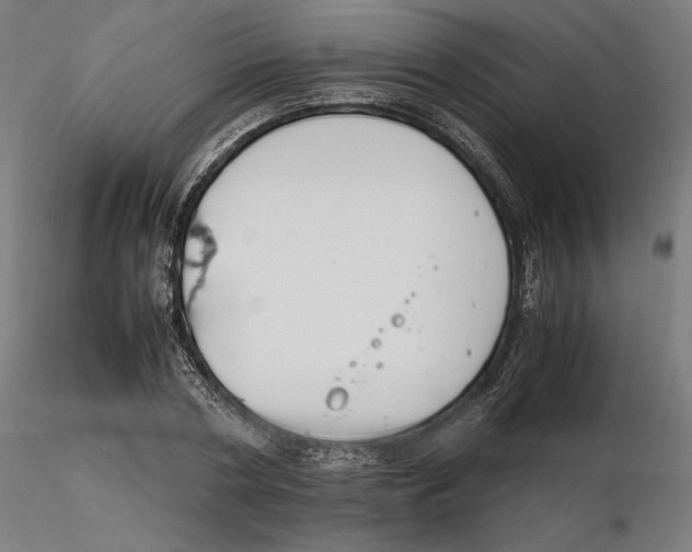 X0000116260786200912291455