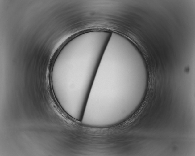 X0000116260788200912291455