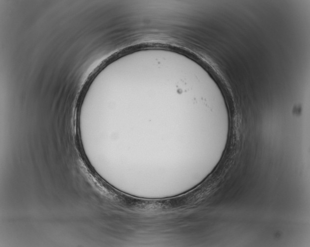 X0000116260791200912291455