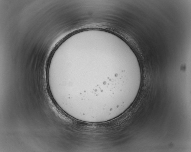 X0000116260792200912291455