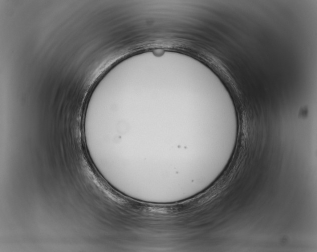 X0000116260794200912291455