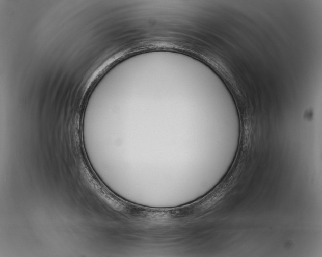 X0000116260798200912291455