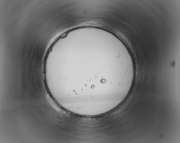 X0000116260800200912291455