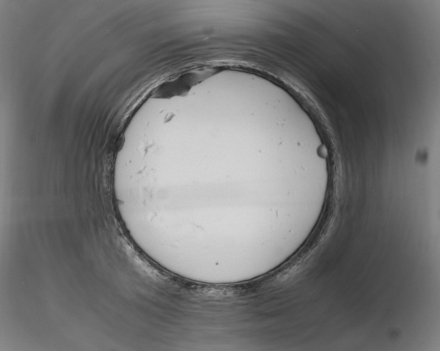 X0000116260801200912291455