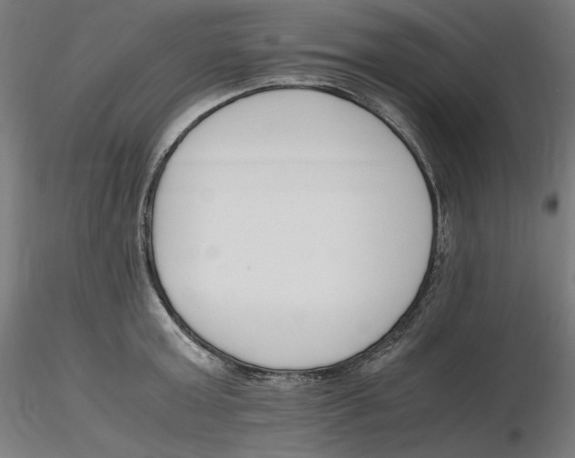 X0000116260803200912291455