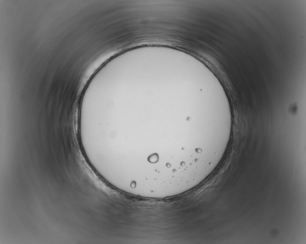 X0000116260804200912291455