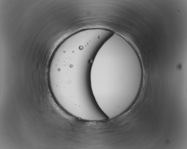 X0000116260805200912291455