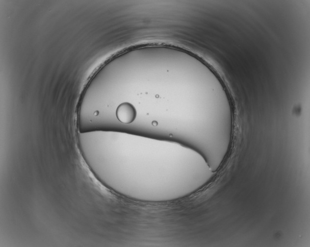 X0000116260807200912291455