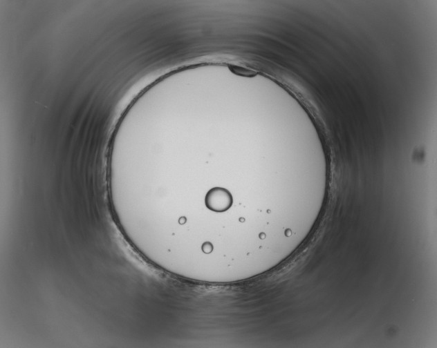 X0000116260808200912291455