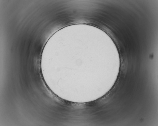X0000116260810200912291455