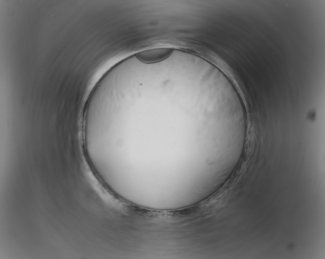 X0000116260811200912291455
