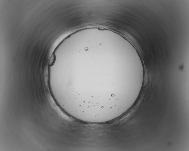 X0000116260812200912291455