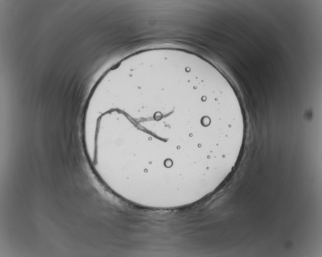 X0000116260813200912291455