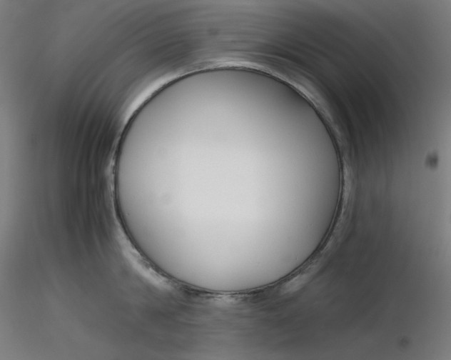 X0000116260814200912291455