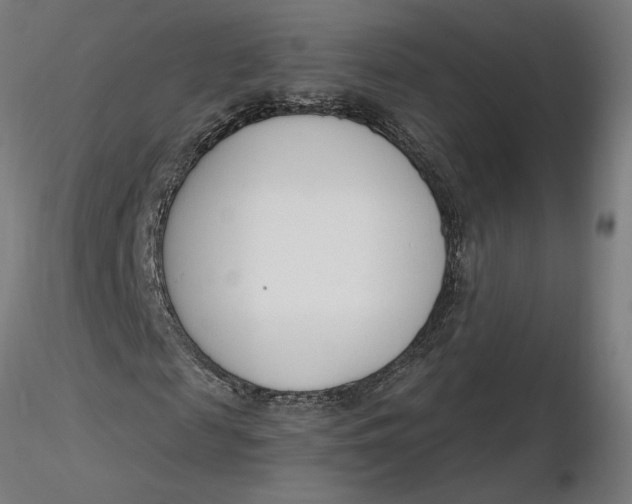 X0000116260817200912291454