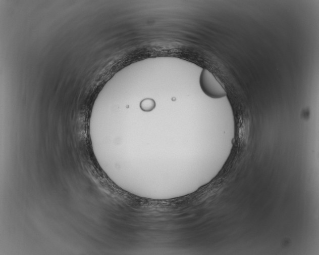 X0000116260819200912291454