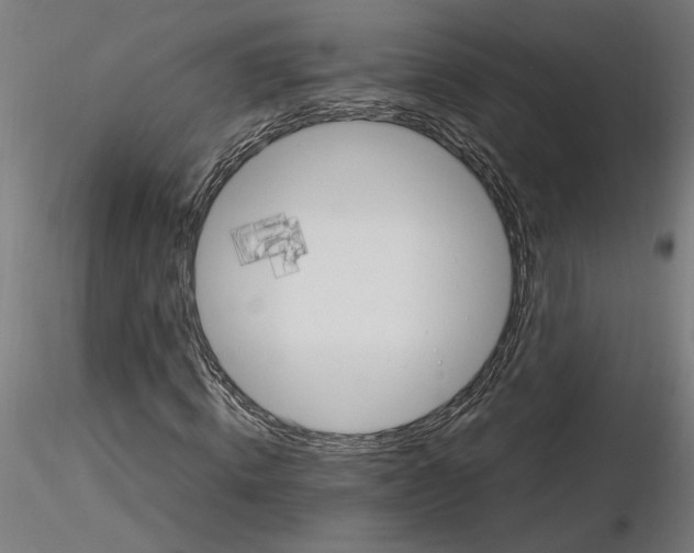 X0000116260820200912291454