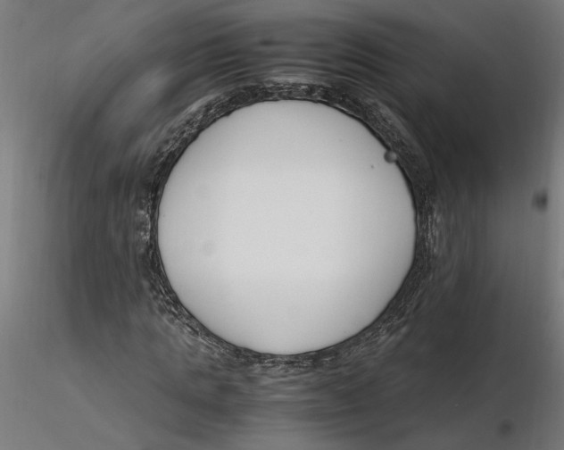 X0000116260821200912291454