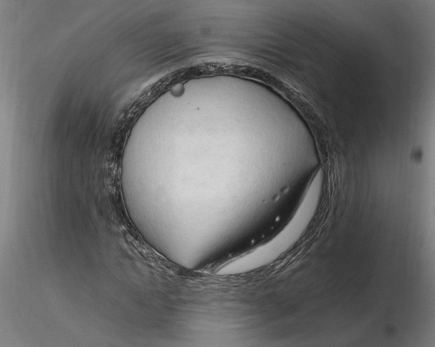 X0000116260822200912291454