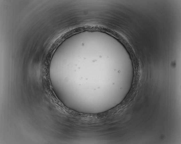 X0000116260823200912291454