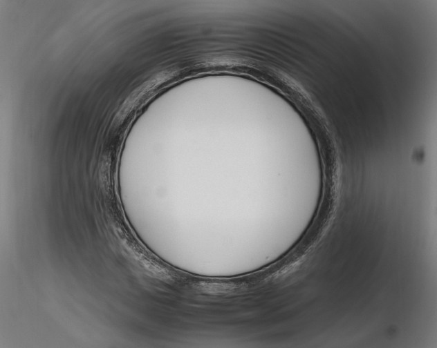 X0000116260825200912291454