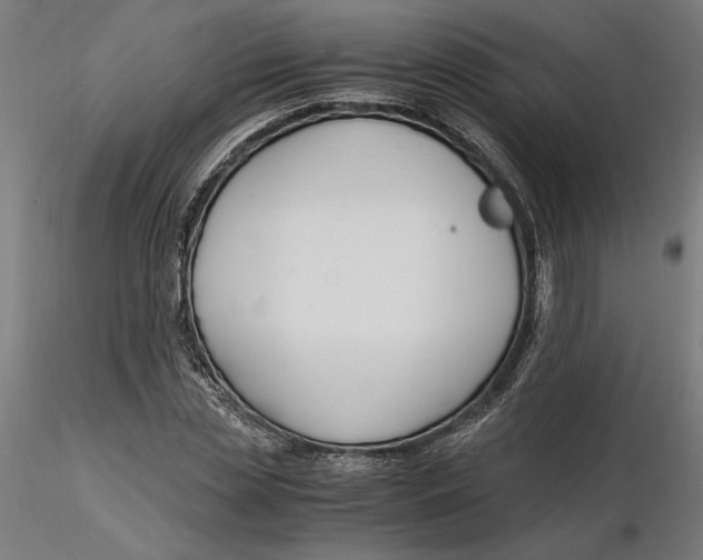 X0000116260829200912291454