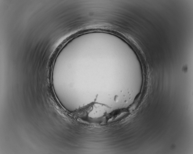 X0000116260830200912291454