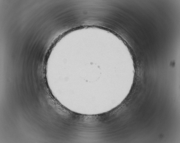 X0000116260832200912291454
