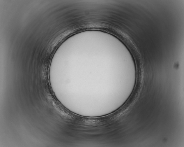 X0000116260833200912291454