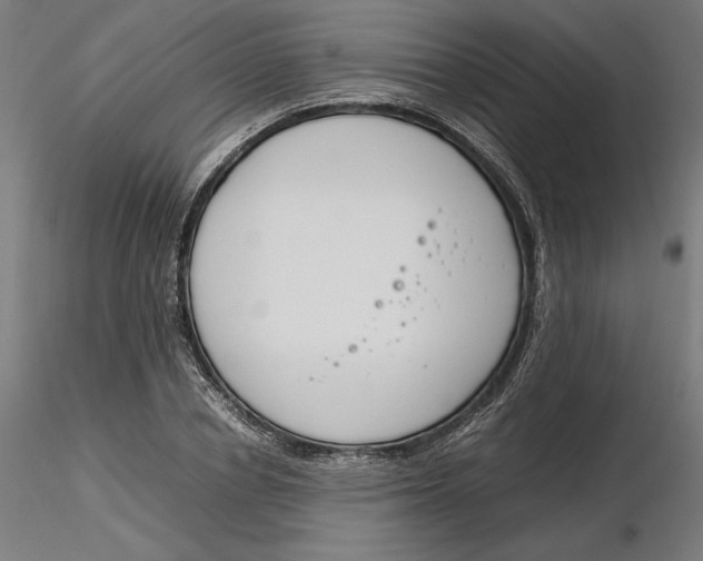 X0000116260834200912291454