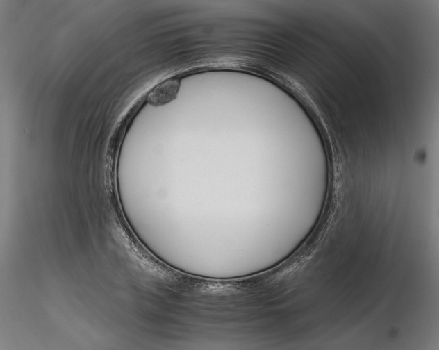 X0000116260835200912291454