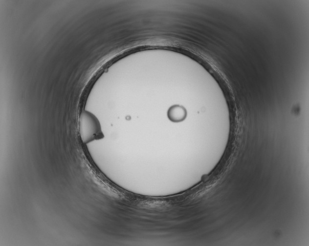 X0000116260837200912291454