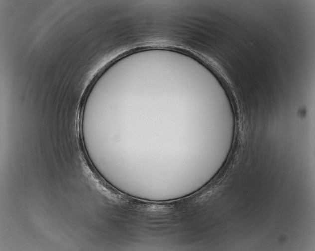 X0000116260839200912291454
