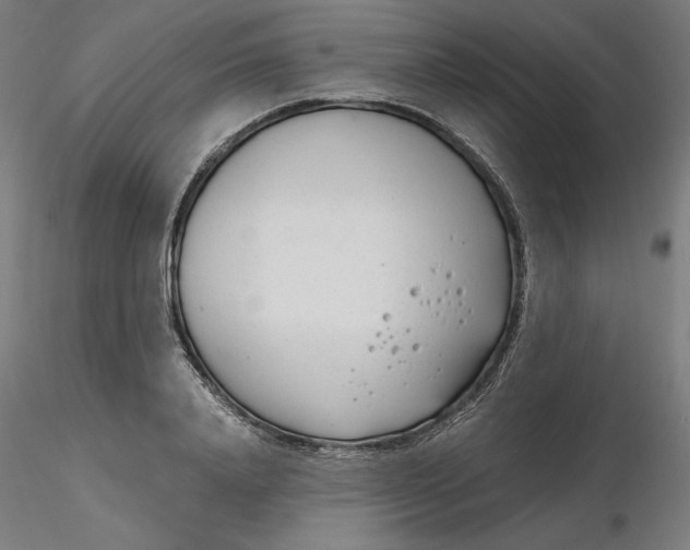 X0000116260840200912291454