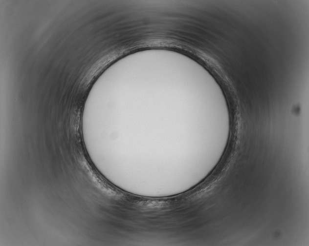 X0000116260841200912291454
