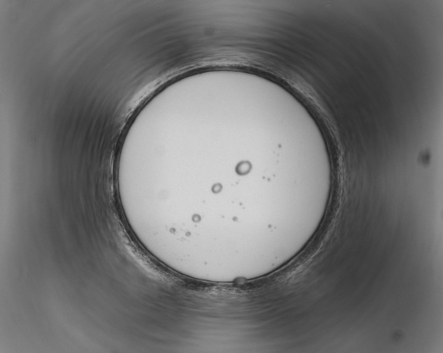 X0000116260842200912291454