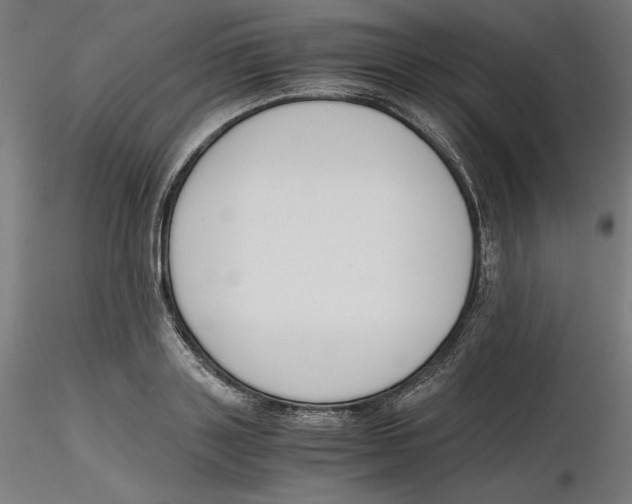 X0000116260843200912291454