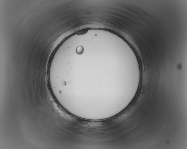 X0000116260845200912291455