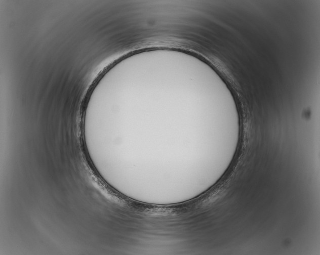 X0000116260846200912291455
