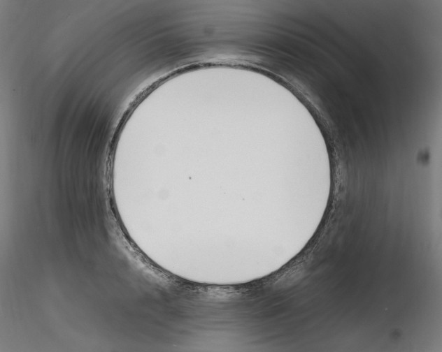 X0000116260848200912291455