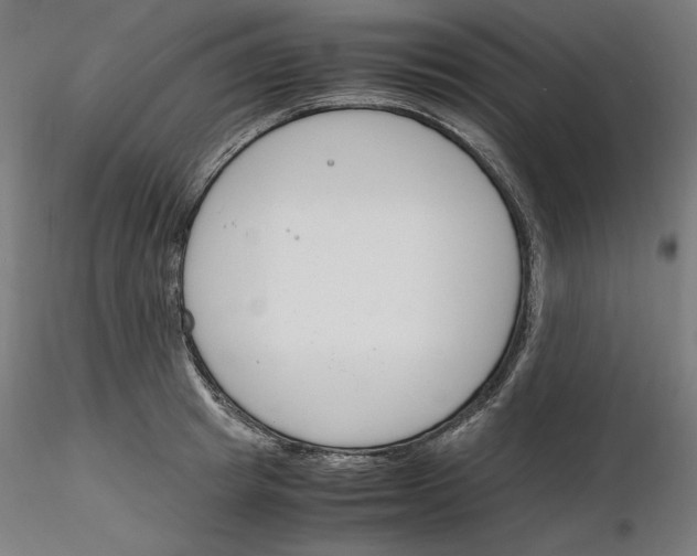 X0000116260849200912291455