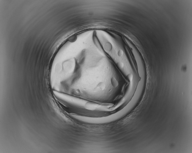 X0000116260850200912291455