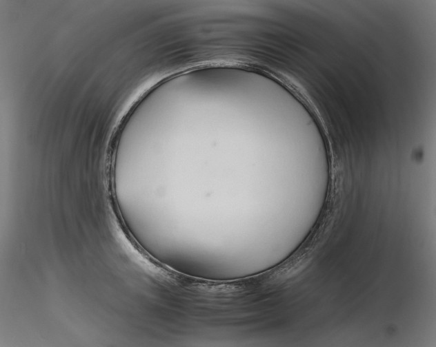 X0000116260851200912291455