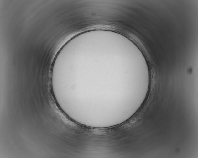 X0000116260852200912291455