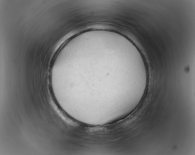 X0000116260853200912291455